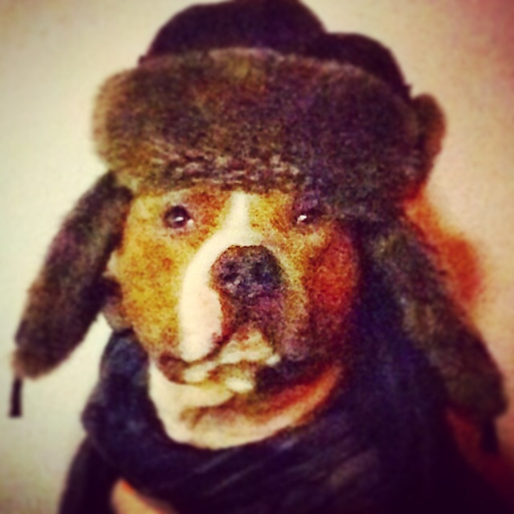 Meet your Posher, Josh